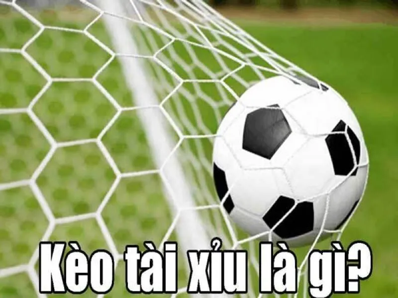 Soi kèo tài xỉu - Cách chinh phục dành cho tân thủ tại May88 1 Kèo tài xỉu thường xuyên xuất hiện trên diễn đàn uy tín
